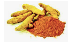 Curcumin and Cancer