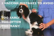 Vaccinosis: A Closer Look