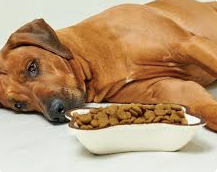 Purina, Pure Evil?