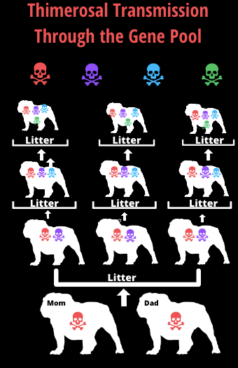 Could Vaccine Ingredients Cause Gene Mutations?!