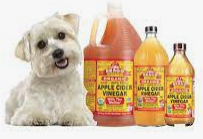 Health Benefits of Apple Cider Vinegar for Dogs!